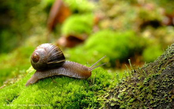 Augenblickmaltouren im Kurpark