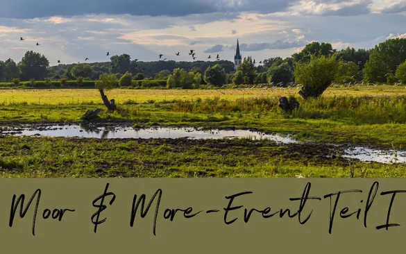 Moor-Event I.jpg
