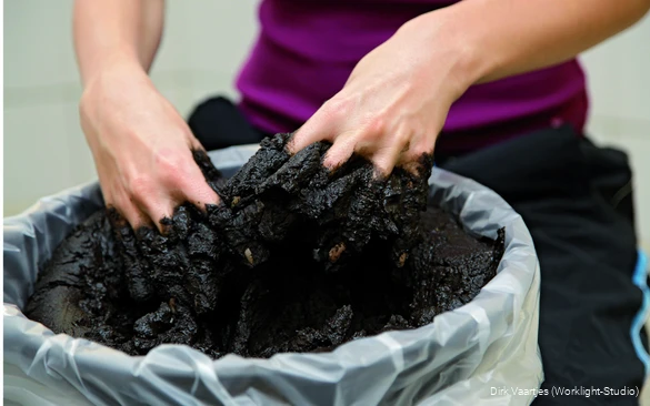Seit Februar 2019 bietet die Börde-Therme Bad Sassendorf in der Abteilung MedyWell auch wieder Moorpackungen und Moorkneten mit dem „original Bad Sassendorfer Moor“ an.