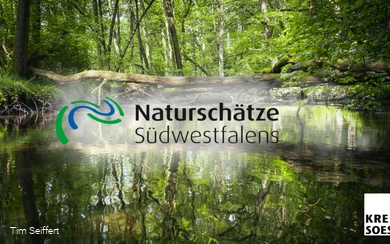 Naturschätze Südwestfalen_Foto (c) Tim Seiffert.jpeg