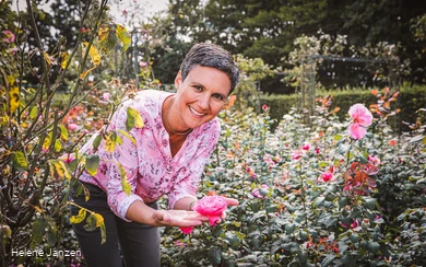 Rosengarten im Kurpark Bad Sassendorf