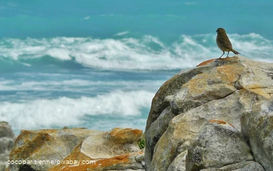 Resilienz - 07.08.2025