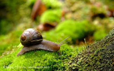 Augenblickmaltouren im Kurpark