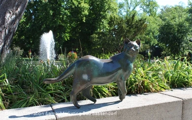Katzen-Skulpturen am Gradierwerk Bad Sassendorf