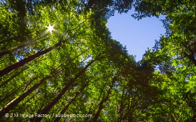 Stressbewältigung - 14.03.2024 und 13.06.2024
