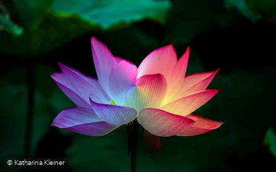 Sinn finden - 28.05.2026