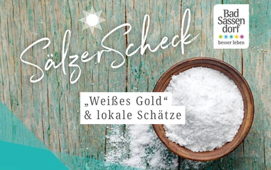 Teaserbild SälzerScheck
