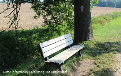 Pausenbank an der Subbieke