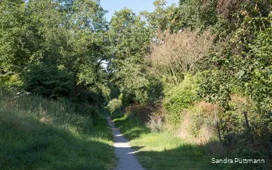 Alter Hellweg Lohne (Bad Sassendorf)
