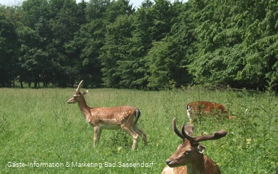 Freiherr-von-Wintzingerode-Park