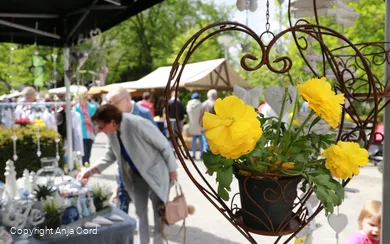 Herbstmarkt Bad Sassendorf