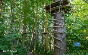 20240729_Kletterpark 1.jpg