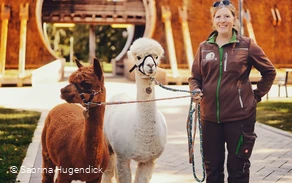 Alpaka-Spaziergang