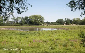 Naturschutzgebiet Woeste bei Bad Sassendorf