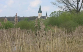 Blick auf Ostinghausen