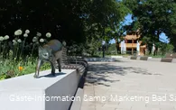 Katzen-Skulpturen am Gradierwerk Bad Sassendorf
