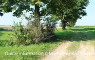 Langer Patt Bad Sassendorf-Gabrechten Richtung Heppen