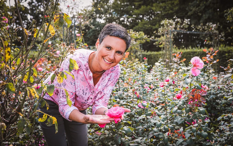 Rosengarten im Kurpark Bad Sassendorf