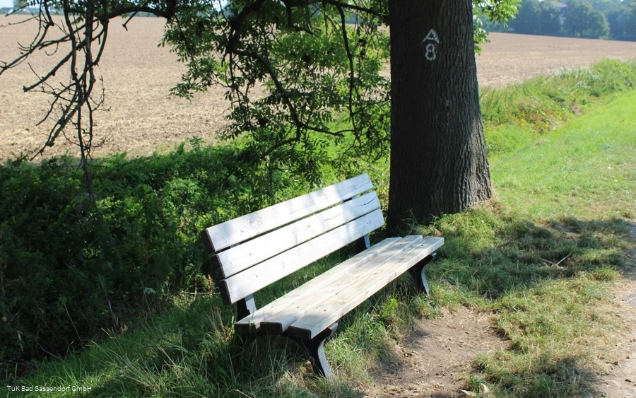Pausenbank an der Subbieke - Bad Sassendorf