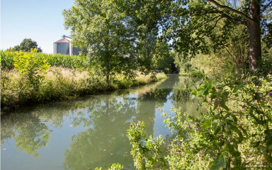 Viele Besonderheiten in der Flora und Fauna gibt es entlang der Rosenau von Bad Sassendorf-Weslarn bis ins Ortszentrum Bad Sassendorf zu entdecken.