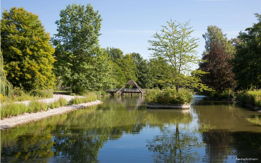 Kurpark Bad Sassendorf (Blick über den Teich) Kurpark Bad Sassendorf (Blick über den Teich)
