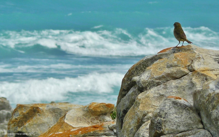 Resilienz - 07.08.2025