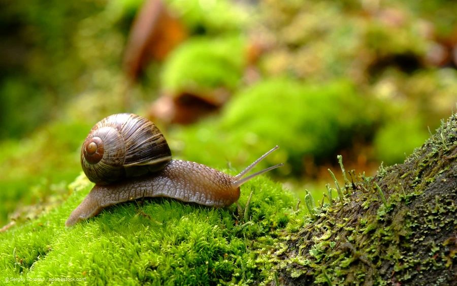 Augenblickmaltouren im Kurpark