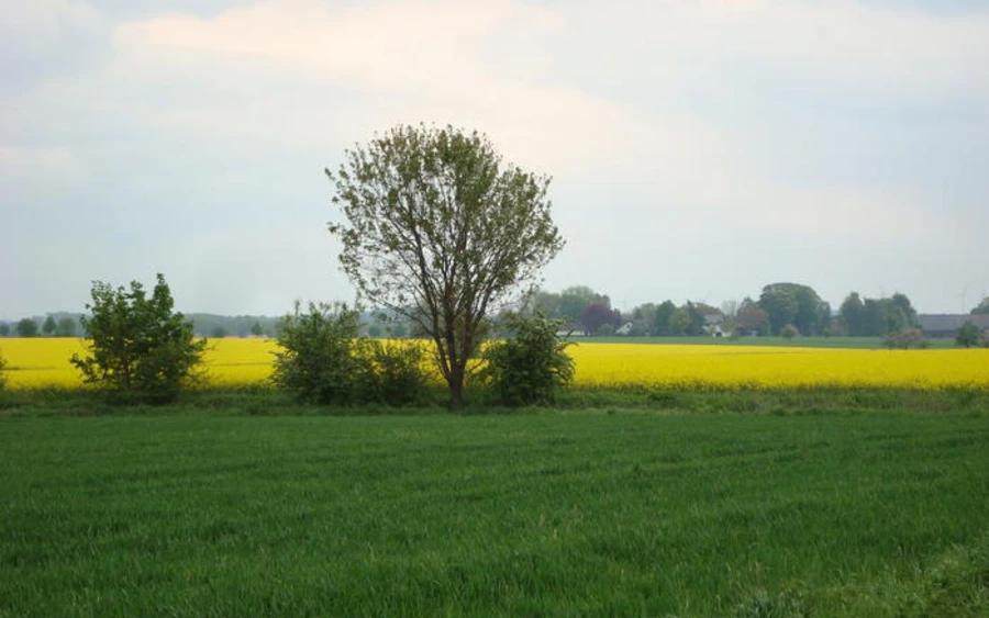 Opmünden in der Soester Börde