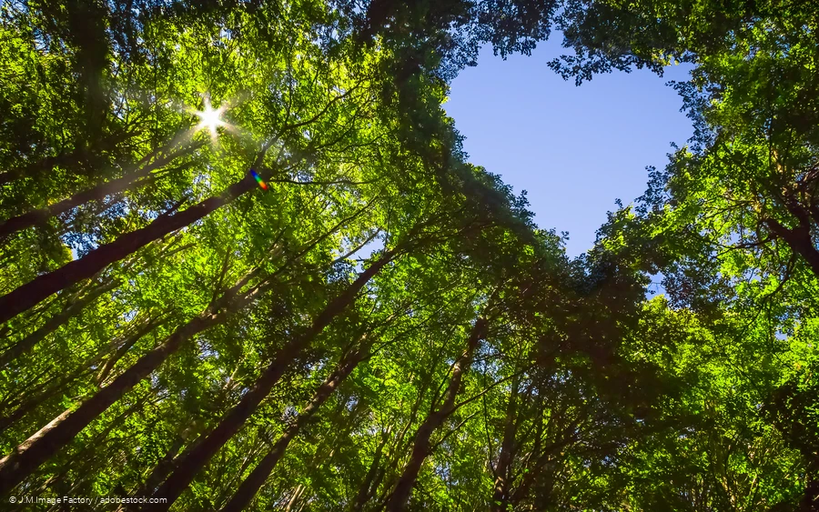 Stressbewältigung - 14.03.2024 und 13.06.2024