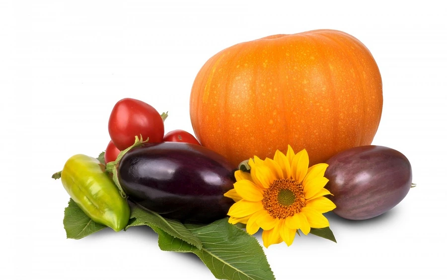 Speiseplan für einen gesunden Darm 09.04.2026