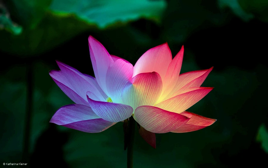 Sinn finden - 28.05.2026