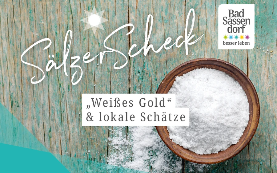 Teaserbild SälzerScheck