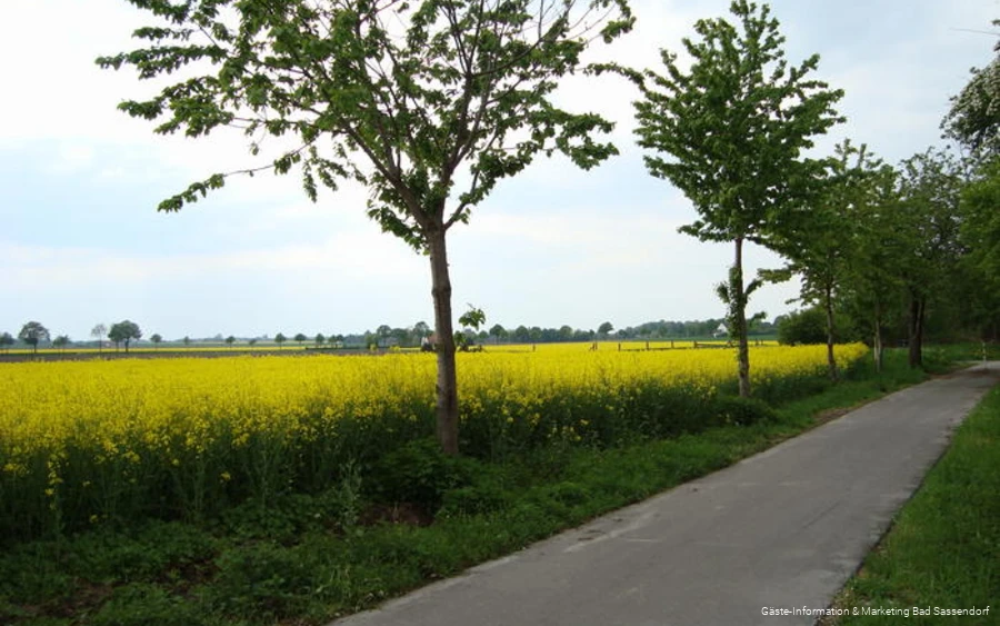 Kiepenkerlweg am Rand von Elfsen
