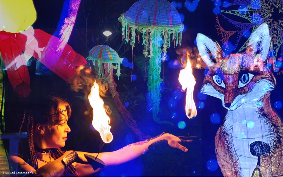 Licht aus - Titelbild 2026