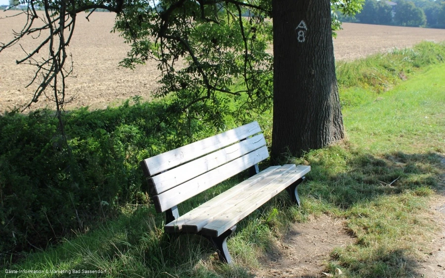 Pausenbank an der Subbieke