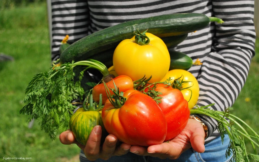 Kunterbunt gesund