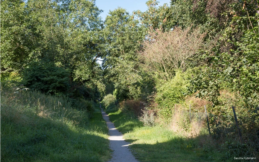 Alter Hellweg Lohne (Bad Sassendorf) Alter Hellweg Lohne (Bad Sassendorf)