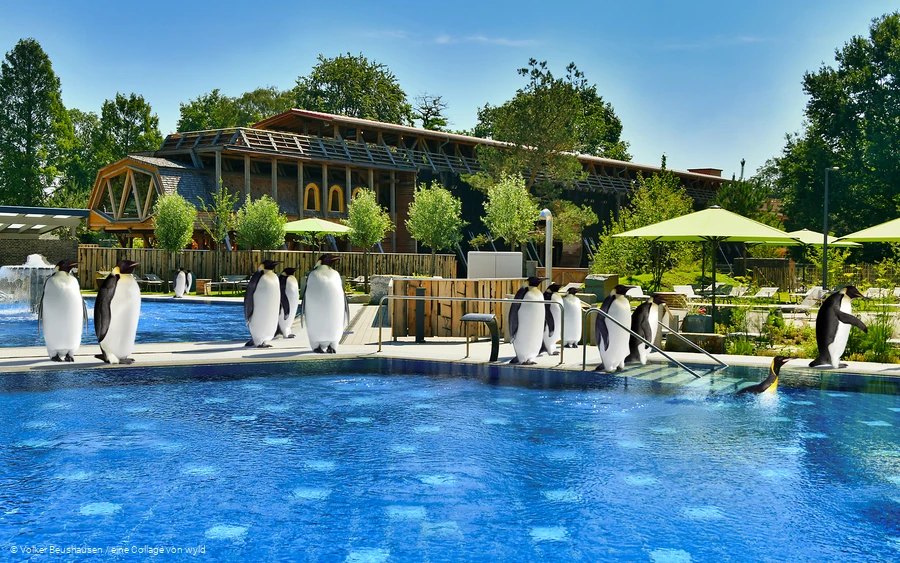 Pinguine in der Börde Therme Bad Sassendorf gibt es nicht wirklich, dies ist eine Collage, um zu zeigen, was für ein cooler Ort die Börde Therme Bad Sassendorf ist.