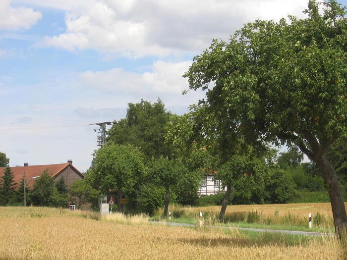 Herringsen in der Soester B&ouml;rde