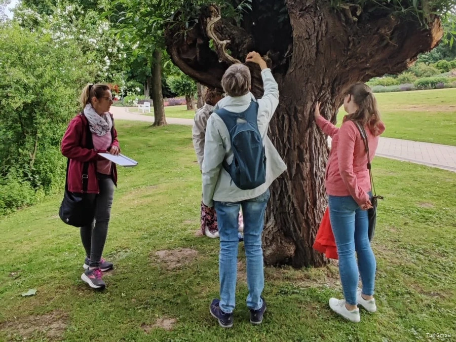 Im Kurpark Bad Sassendorf den Fokus auf Details in der Natur zu richten und wundersch&ouml;n Verborgenes zu finden, ist Teil des Achtsamkeitsspaziergangs mit Christiane Schnitker.