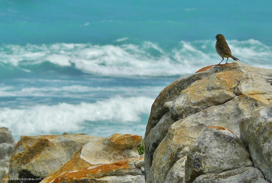 Resilienz - 07.08.2025