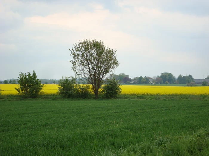 Opmünden in der Soester Börde