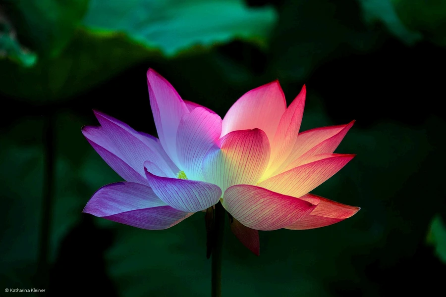 Sinn finden - 28.05.2026