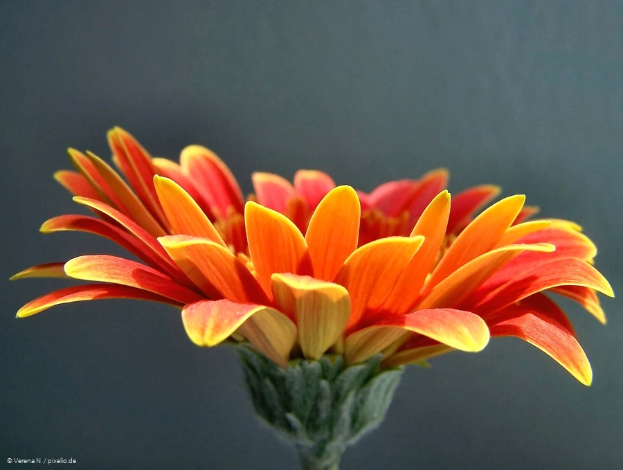 Bewusstseinscoaching - 02.05.2024