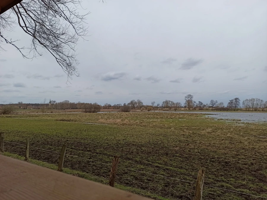 Geschafft! Im Naturschutzgebiet Woeste gibt es einiges zu entdecken. Am besten nimmt man ein Fernglas mit. Dann kann man zum Beispiel vom Beobachtungspunkt aus die Wasserbüffel besser erkennen.
