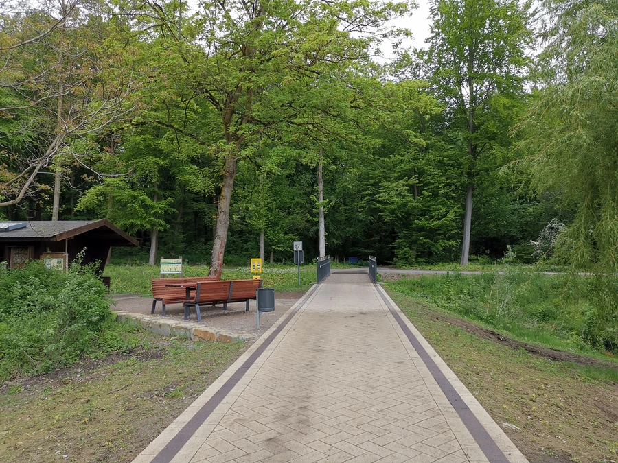 Der Weg in den Rhododendronpark im Kurpark Bad Sassendorf