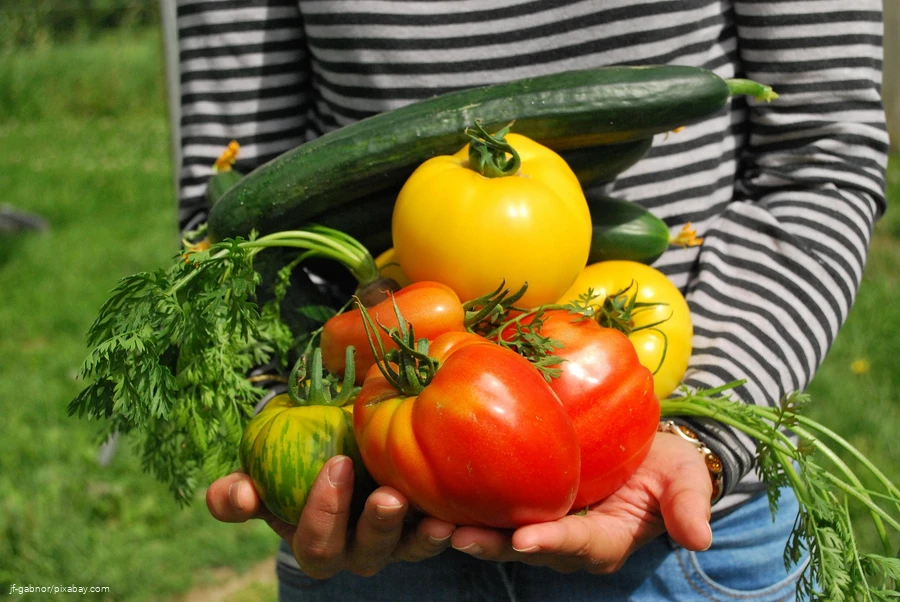 Kunterbunt gesund