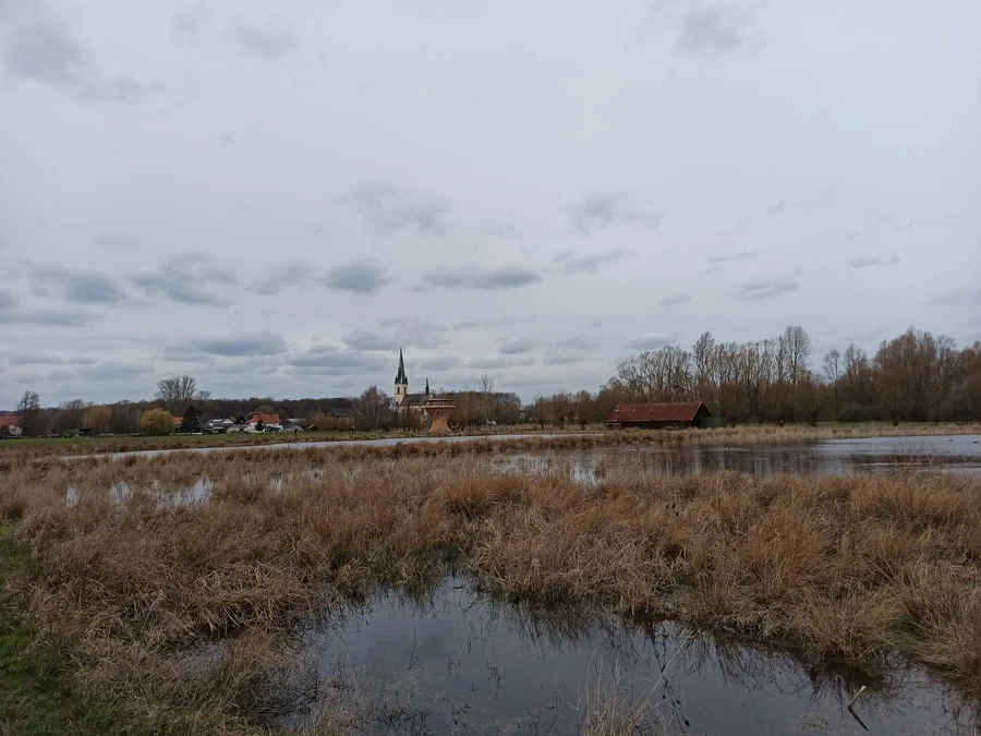 Vom neuen Ausssichtsturm eröffnet sich ein fantastischer Blick über das Naturschutzgebiet Woeste. Er fügt sich mit seiner Architektur ideal in das Gelände ein.