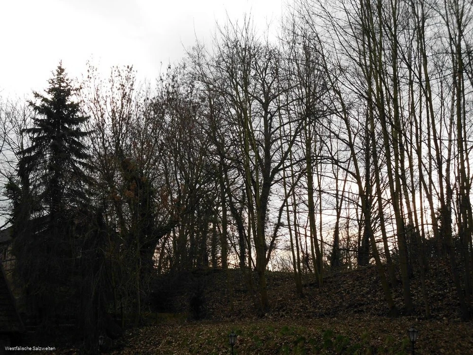 Ehemailiger Bahndamm Bad Sassendorf