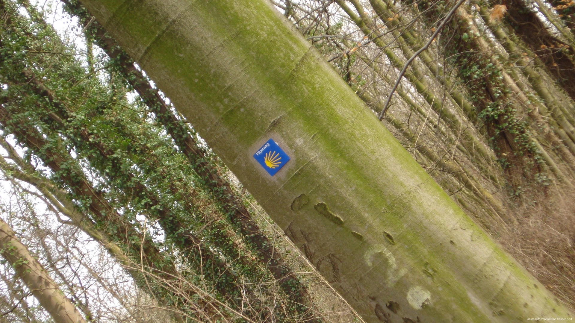 Der Jakobsweg und der Mythos um das Grab des Heiligen Jakobus faszinieren Jung und Alt auf der ganzen Welt. Auch Wege aus Westfalen führen dorthin. Der Weg von Höxter nach Bochum führt durch Bad Sassendorf.